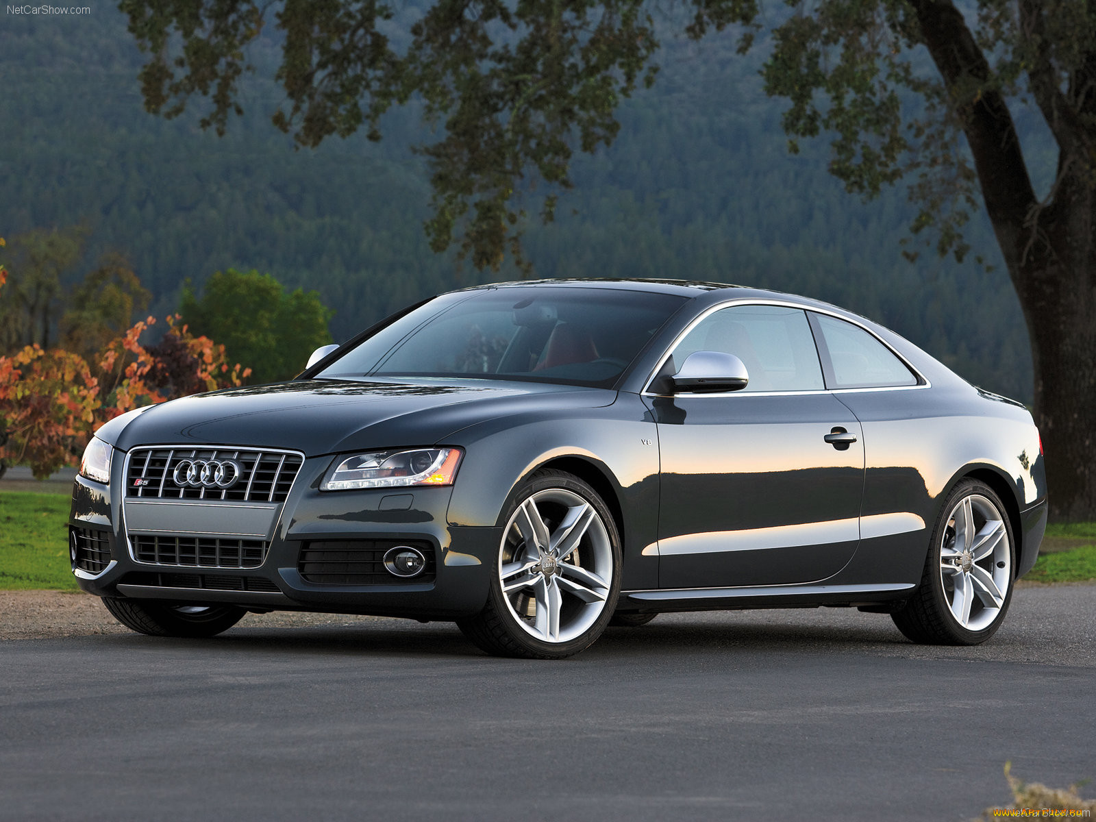 , audi